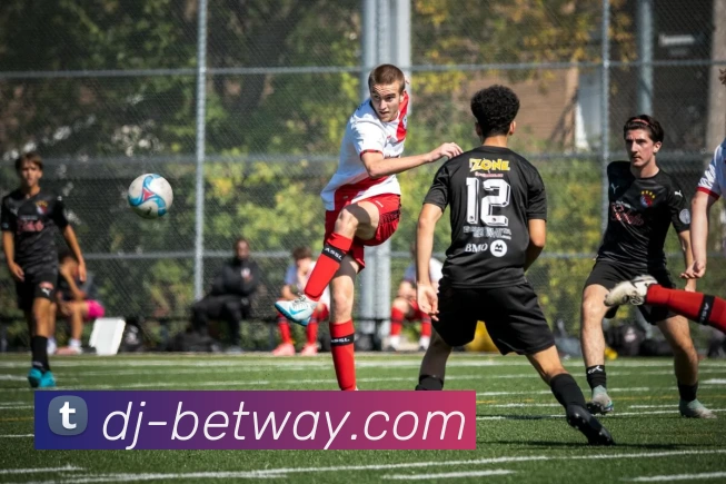 必威体育平台APP 封面图